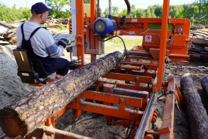 Pracownik tnie drewno piłą mechaniczną